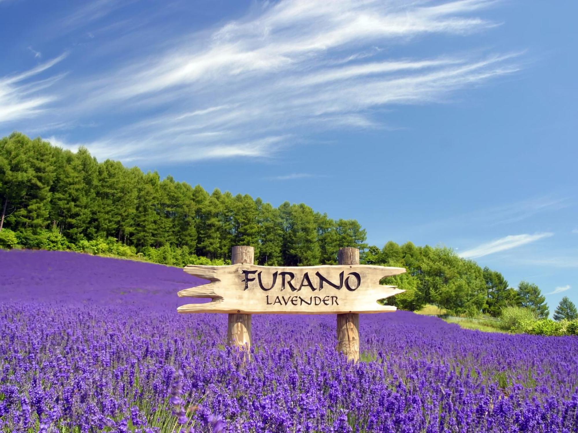 Hotel Naturwald Nakafurano Esterno foto